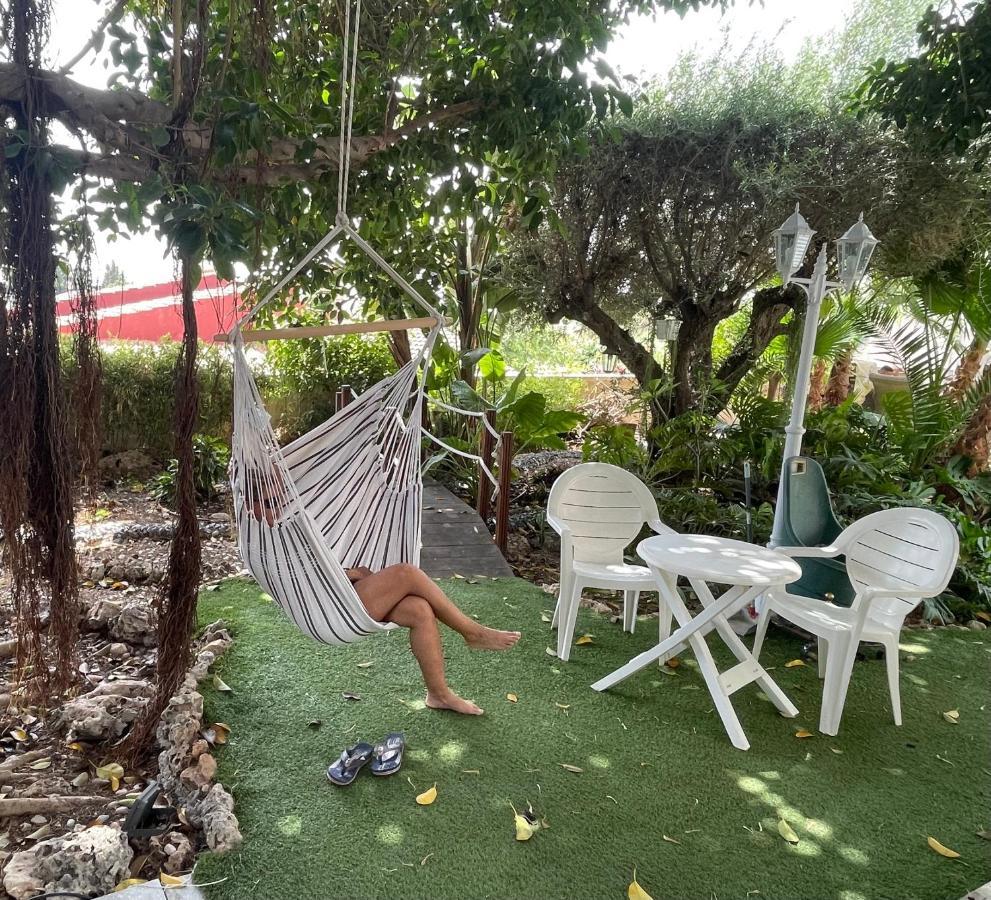 Habitación con cama extra doble más sofa cama apta hasta para 4 personas con baño privado San Vicente Raspeig Esterno foto