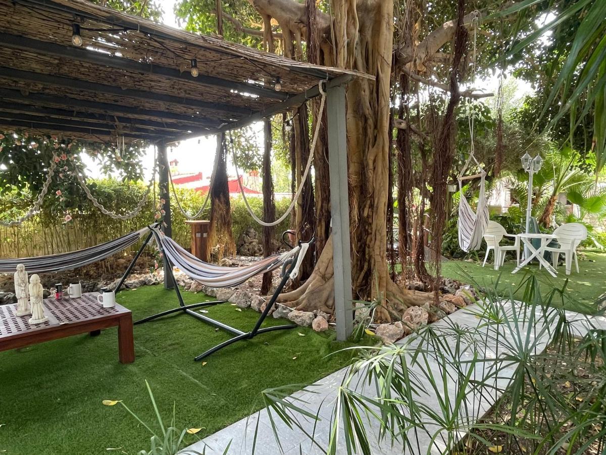 Habitación con cama extra doble más sofa cama apta hasta para 4 personas con baño privado San Vicente Raspeig Esterno foto
